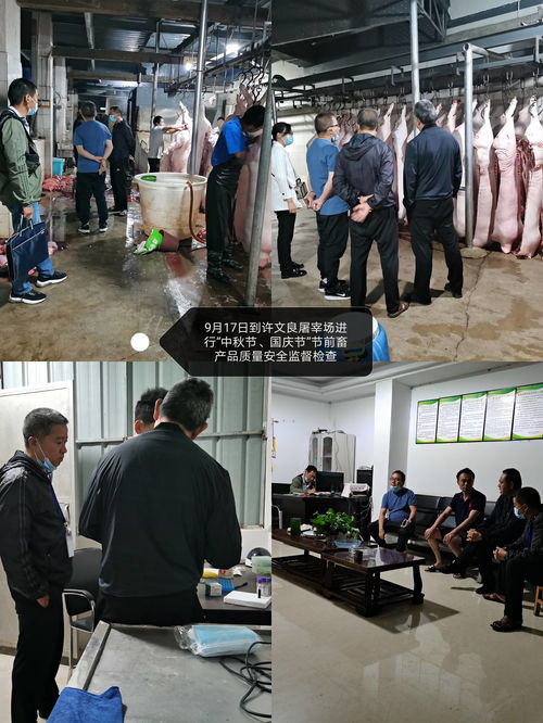 开展 两节 期间畜禽产品质量安全监督检查 确保上市畜产品质量安全
